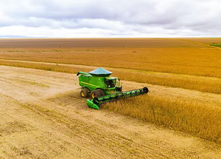 Safra recorde de soja em MS esbarra em custos altos e lucro menor no campo