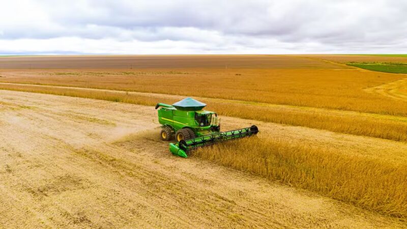 Safra recorde de soja em MS esbarra em custos altos e lucro menor no campo