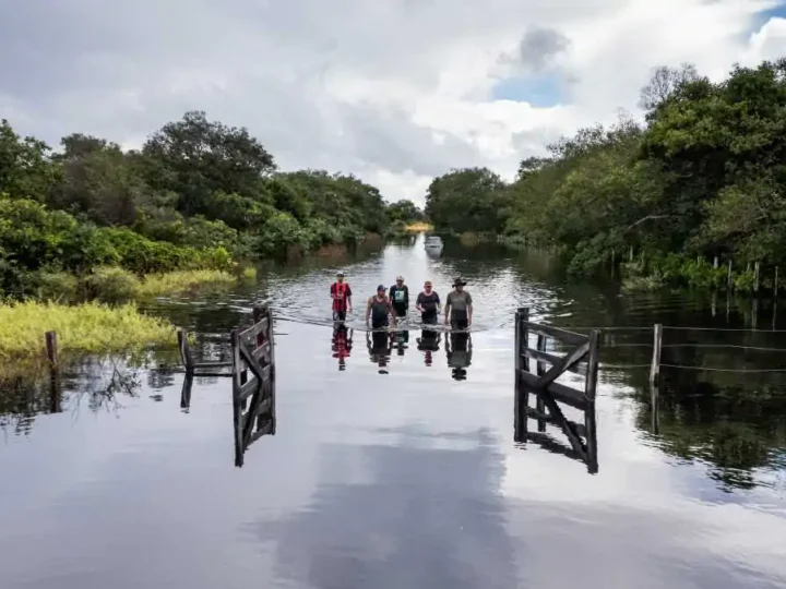 Cheia traz esperança ao Pantanal, mas recuperação ainda está longe do ideal