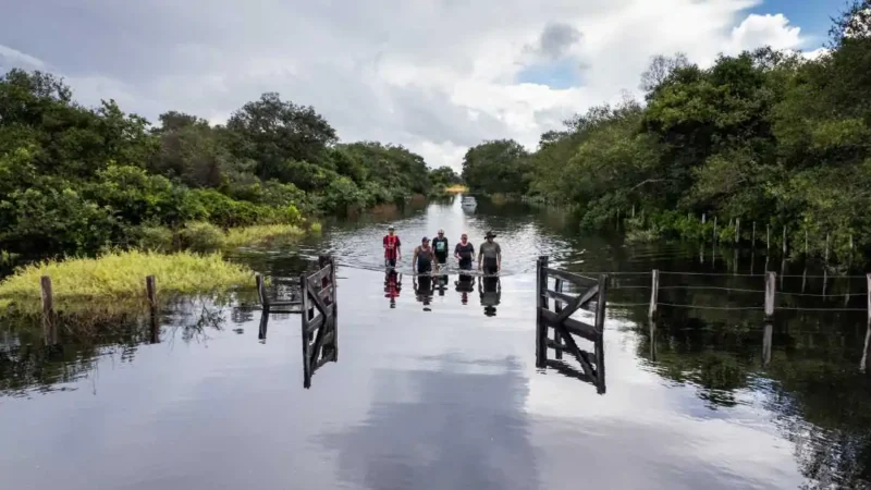 Cheia traz esperança ao Pantanal, mas recuperação ainda está longe do ideal