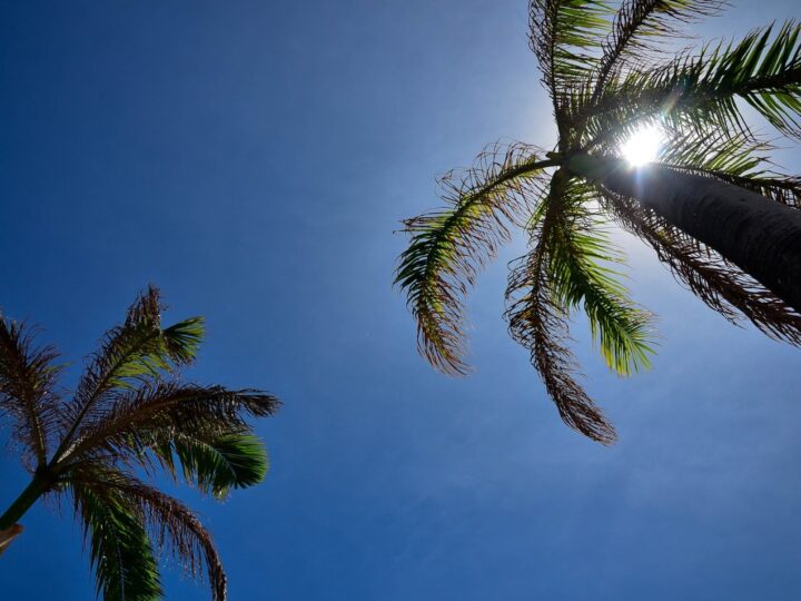 Frio perde força e calor volta a ganhar espaço em Mato Grosso do Sul nesta segunda