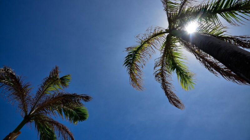 Frio perde força e calor volta a ganhar espaço em Mato Grosso do Sul nesta segunda