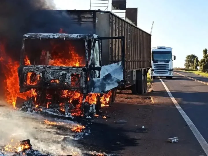 Motorista solta bois na rodovia após carreta pegar fogo