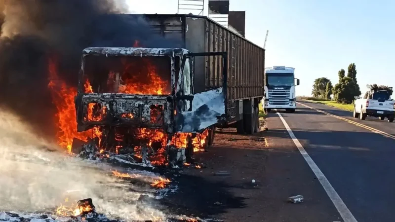 Motorista solta bois na rodovia após carreta pegar fogo