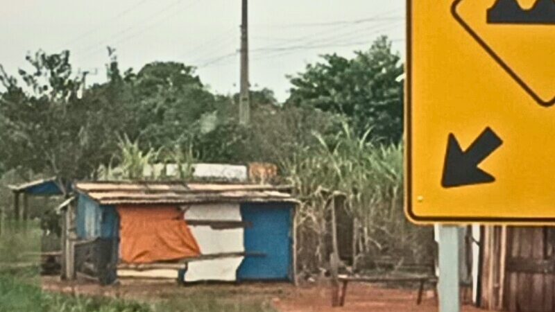 MP investiga ocupações irregulares às margens da MS-141 por riscos ambientais e à segurança