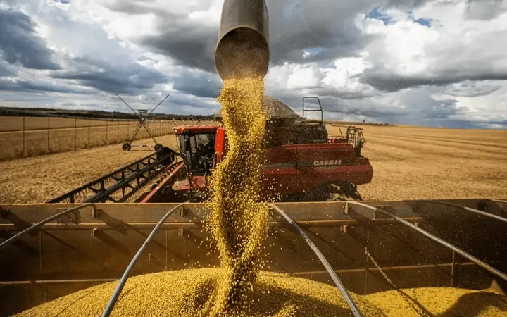 Banco do Brasil libera R$ 13,4 bilhões em crédito rural para produtores de MS na safra 2026/2027