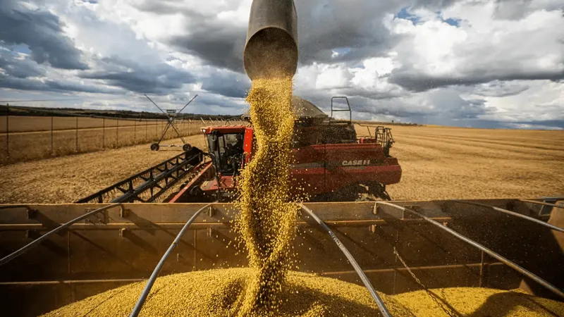 Banco do Brasil libera R$ 13,4 bilhões em crédito rural para produtores de MS na safra 2026/2027