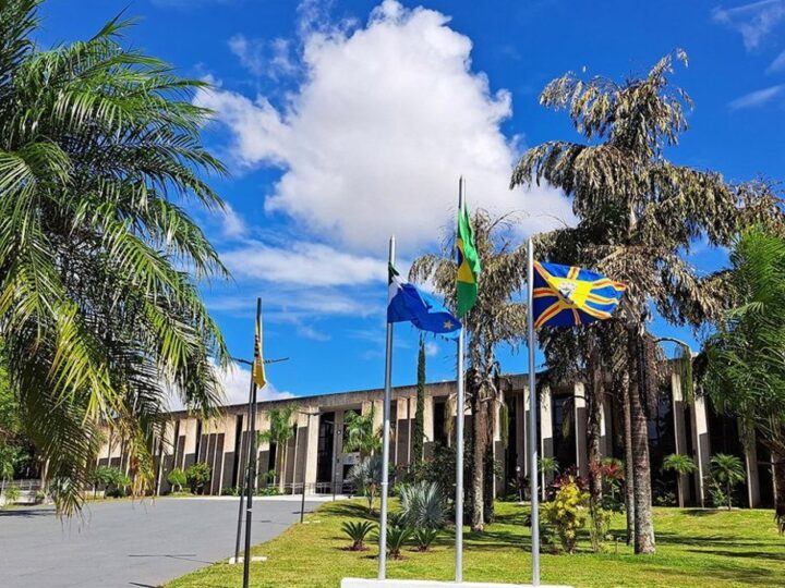 Alems encerra primeiro semestre com 95 projetos aprovados e mais de 160 votações