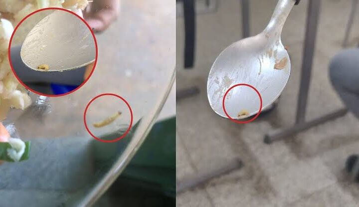 Pais denunciam merenda estragada e presença de larvas em escola municipal de Campo Grande