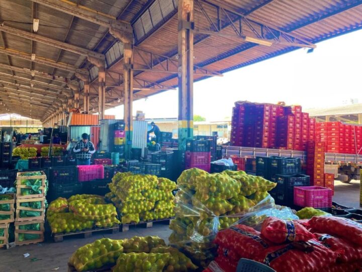 Frutas lideram alta de preços na Ceasa-MS; tomate e batata ficam mais baratos