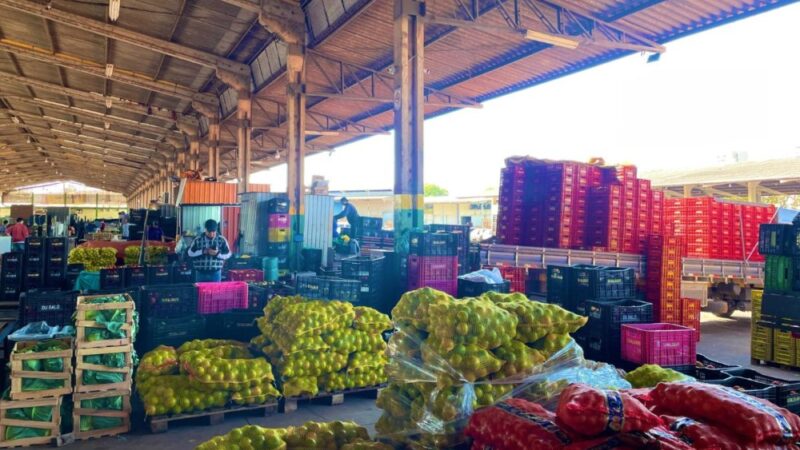 Frutas lideram alta de preços na Ceasa-MS; tomate e batata ficam mais baratos