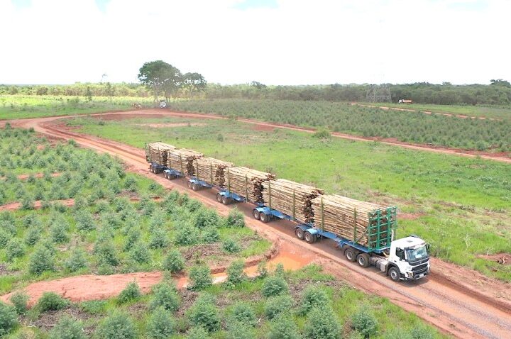 Governo autoriza circulação experimental de hexatrens da Suzano em rodovias rurais de Mato Grosso do Sul
