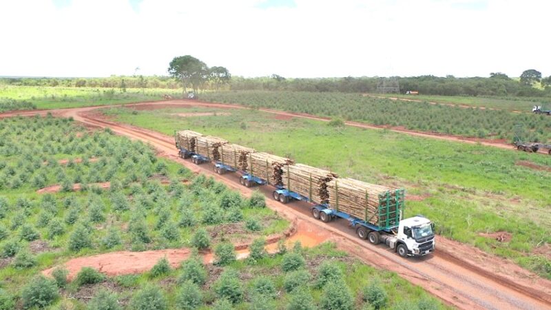 Governo autoriza circulação experimental de hexatrens da Suzano em rodovias rurais de Mato Grosso do Sul
