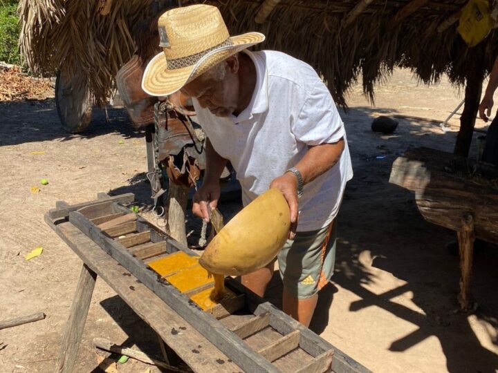 Festival da Rapadura celebra cultura quilombola e tradição em Jaraguari nos dias 15 e 16 de agosto