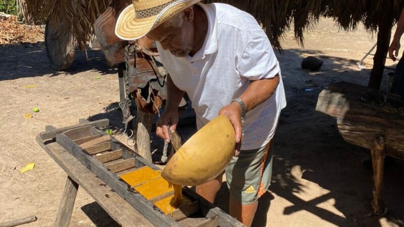 Festival da Rapadura celebra cultura quilombola e tradição em Jaraguari nos dias 15 e 16 de agosto
