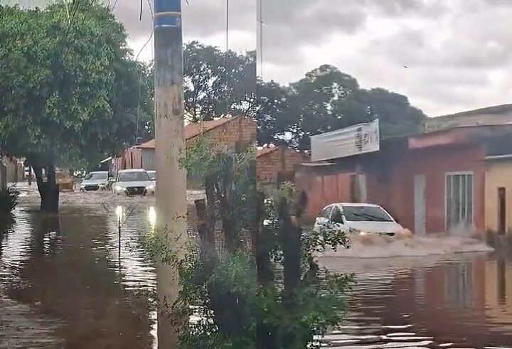 Temporal provoca alagamentos, queda de árvores e transtornos em diversos bairros de Campo Grande