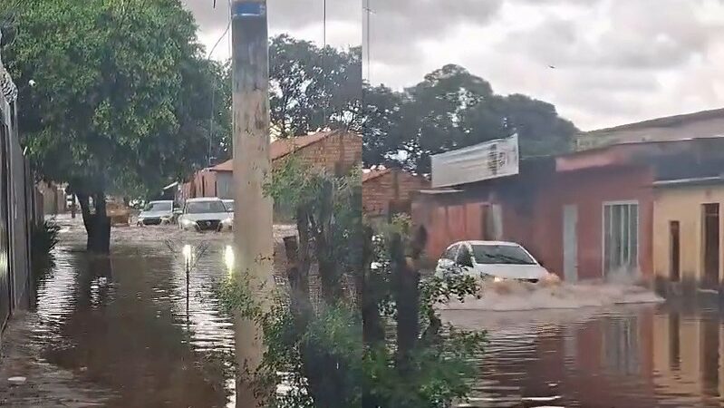 Temporal provoca alagamentos, queda de árvores e transtornos em diversos bairros de Campo Grande