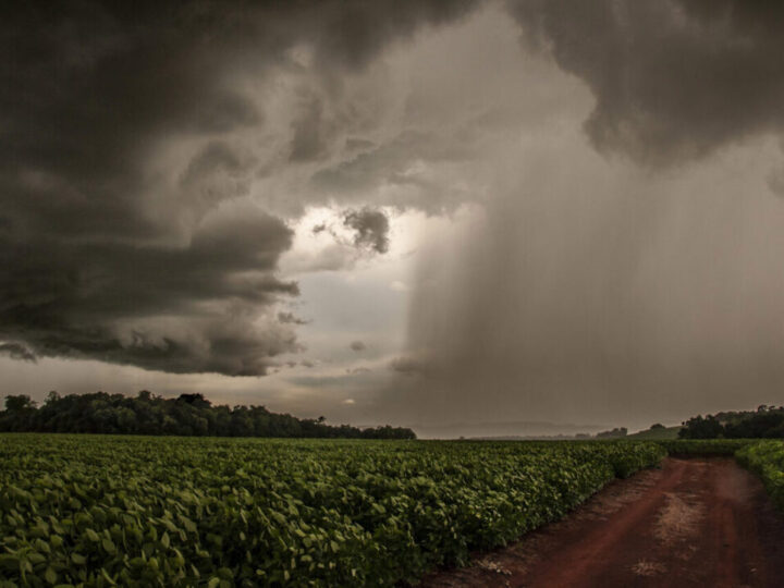 Mato Grosso do Sul tem previsão de temporais e rajadas superiores a 60 km/h