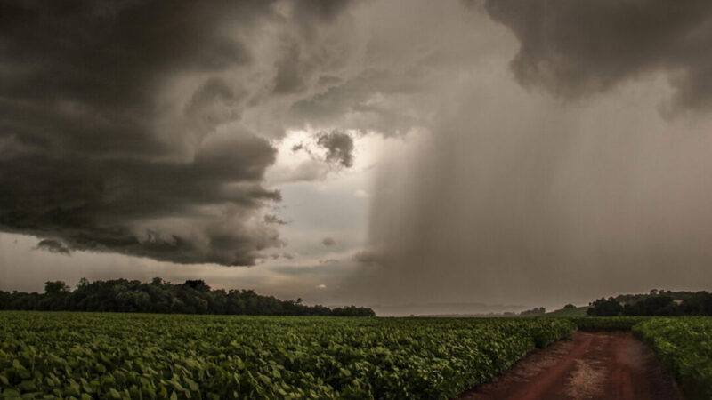 Mato Grosso do Sul tem previsão de temporais e rajadas superiores a 60 km/h
