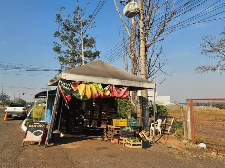 Prefeitura determina retirada de barraca de frutas instalada em área pública de Campo Grande