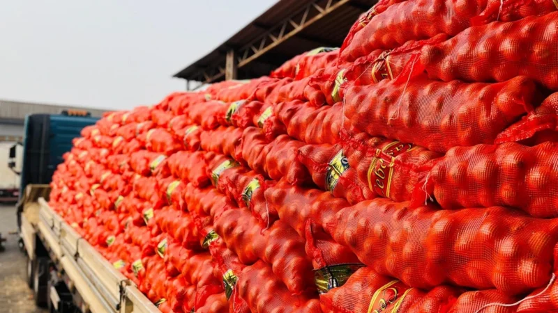 CEASA/MS registra alta no preço de frutas e verduras, enquanto mamão e batata ficam mais baratos