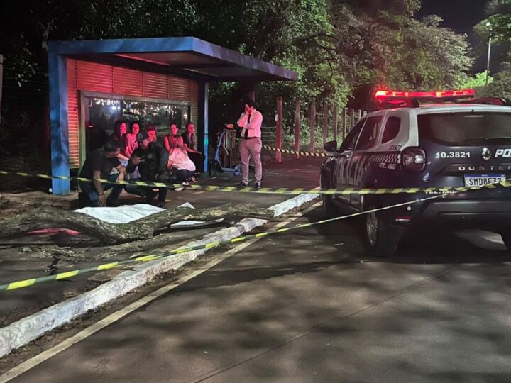 Jovem morre após ser atingida por árvore enquanto estava de patinete em Campo Grande