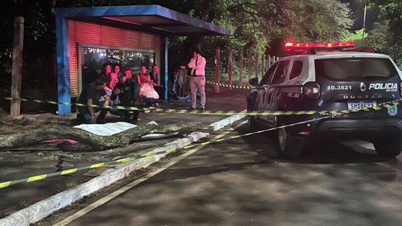 Jovem morre após ser atingida por árvore enquanto estava de patinete em Campo Grande