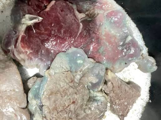 Denúncia aponta falhas no armazenamento e preparo de alimentos em unidade do Sesc em Campo Grande