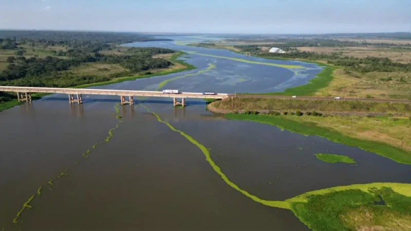 Proliferação de plantas aquáticas avança e preocupa no lago de Porto Primavera
