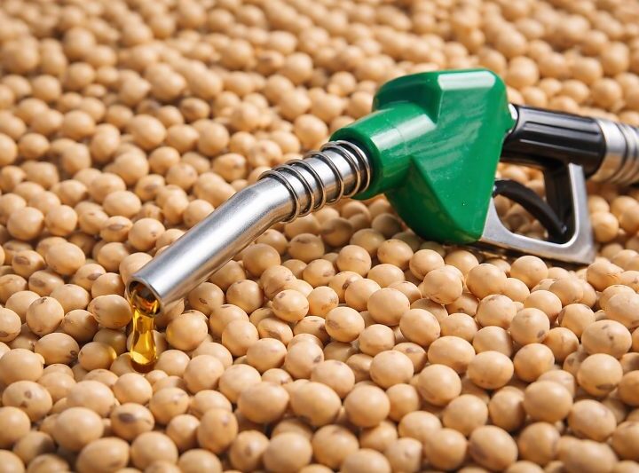 Biodiesel ganha força em MS e abre novas oportunidades para produtores de soja