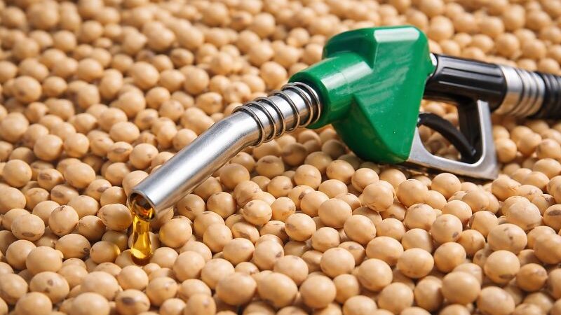 Biodiesel ganha força em MS e abre novas oportunidades para produtores de soja