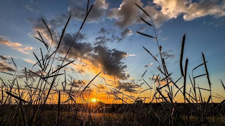 Calor intenso e risco de tempestades marcam a sexta-feira em Mato Grosso do Sul