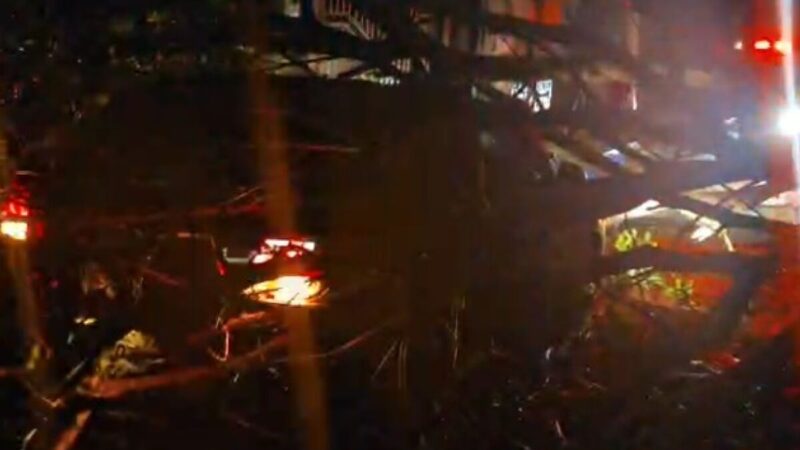 Temporal derruba árvore gigante sobre carro, arranca fios e provoca caos em Campo Grande