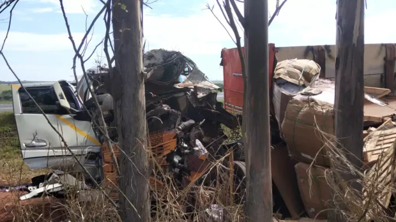 Caminhoneira morre após caminhão sair da pista e tombar