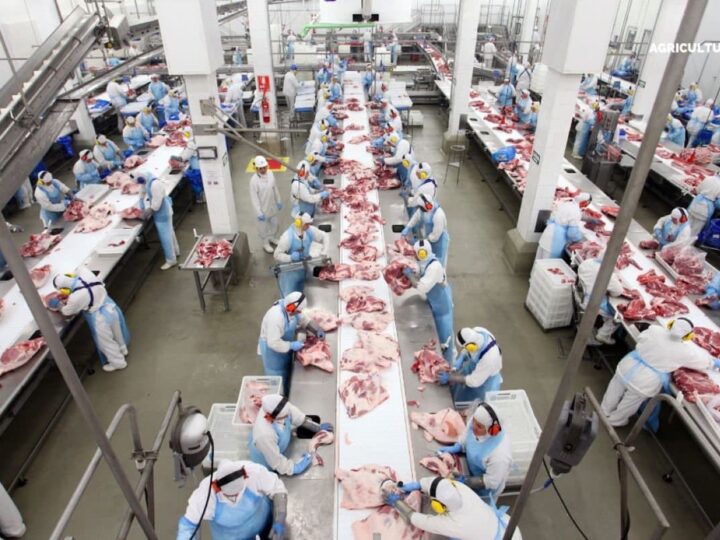 Brasil deve produzir mais de 34 milhões de toneladas de carne em 2026