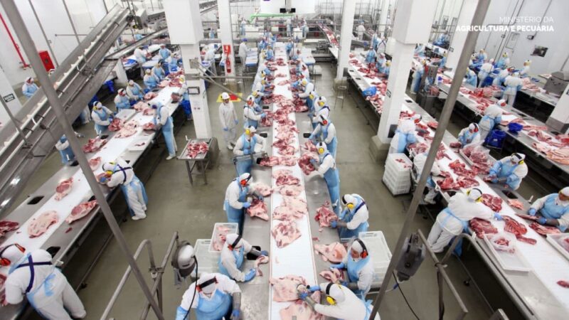 Brasil deve produzir mais de 34 milhões de toneladas de carne em 2026