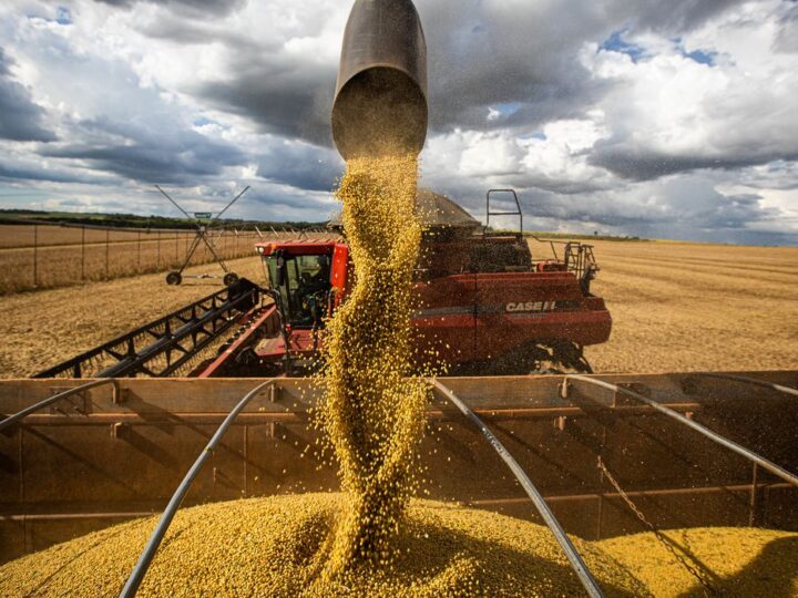 MS movimenta R$ 47,8 bilhões no campo, mas fica fora do Top 10 agrícola do país