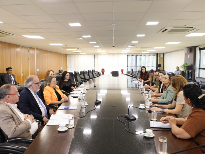 TJMS identifica desafios e propõe melhorias no atendimento a mulheres vítimas de violência em MS
