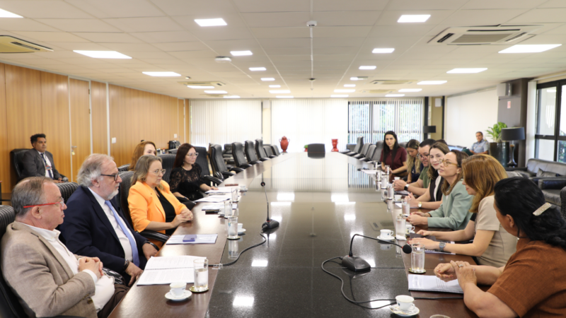 TJMS identifica desafios e propõe melhorias no atendimento a mulheres vítimas de violência em MS