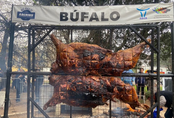 Carne de búfalo estreia no Festival Internacional da Carne em Campo Grande