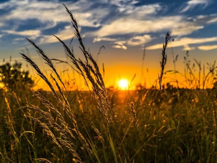 MS enfrenta primeira onda de calor da primavera com temperaturas de até 43°C