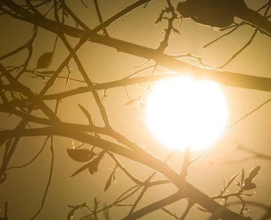 Campo Grande pode registrar 42°C nesta segunda; onda de calor coloca MS em alerta