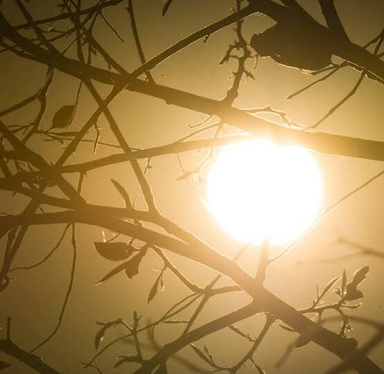 Campo Grande pode registrar 42°C nesta segunda; onda de calor coloca MS em alerta