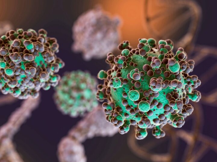 Fungo raro associado a infecções cerebrais preocupa cientistas após aumento de casos nos EUA