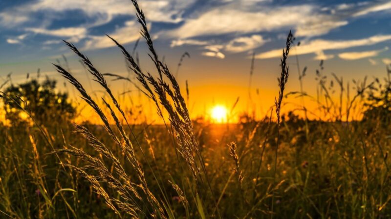 Frio marca o domingo em Mato Grosso do Sul, mas sol deve predominar