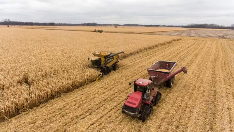 Crédito rural despenca 40% em setembro e recua ao menor volume da safra em MS