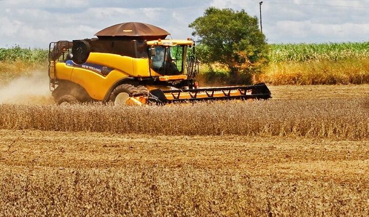 MS aprova R$ 1,86 bilhão em financiamentos do FCO e mantém maior volume no setor rural