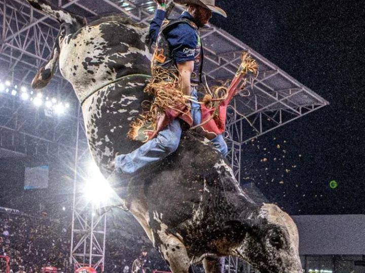 PBR Brazil chega a Campo Grande na Expogenética com disputa acirrada pela liderança do Campeonato Brasileiro