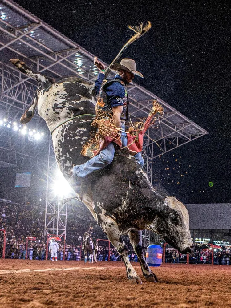 Em destaque: PBR Brazil chega a Campo Grande na Expogenética com disputa acirrada pela liderança do Campeonato Brasileiro