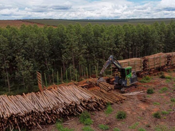 Suzano abre vagas de emprego em Ribas do Rio Pardo e Três Lagoas